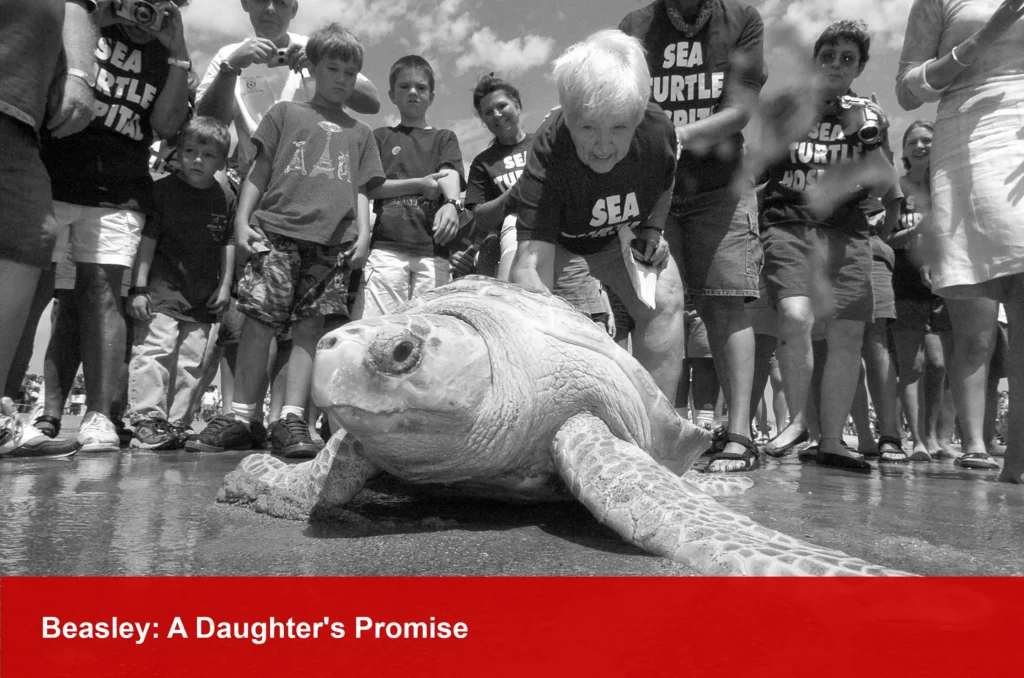 Sea Turtle Icon Jean Beasley Dies at 90; A Mother's Promise Saved Thousands