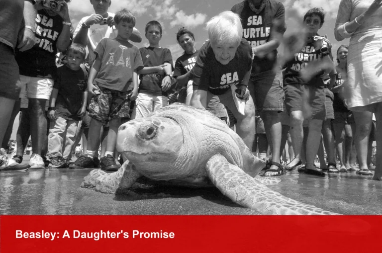 Sea Turtle Icon Jean Beasley Dies at 90; A Mother's Promise Saved Thousands