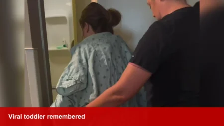 TikTok toddler dies at 2 after crash; mother shares 911 call