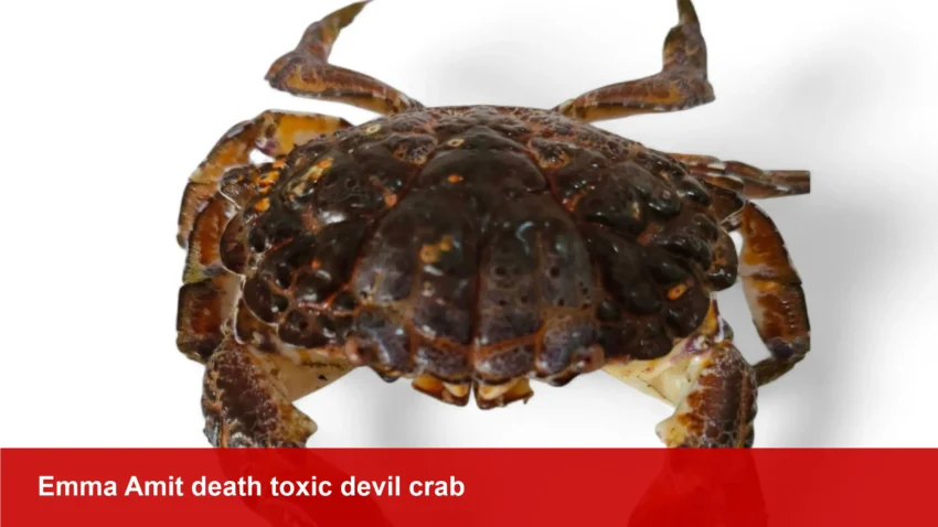 Emma Amit, food influencer, dies after 'devil crab'