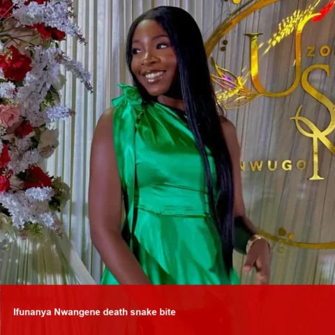 Ifunanya Nwangene, Voice Nigeria Star, Dies After Snake Bite