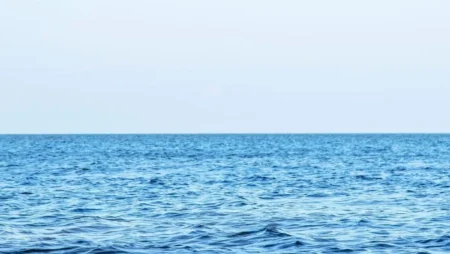 Ben Wood, Brookfield Food Influencer, Dies in Rescue