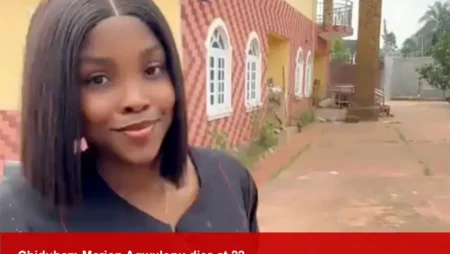 Chidubem Marion Agwulonu, twin TikTok star, dies at 22