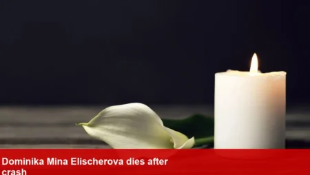 Boxing influencer Dominika Mina Elischerova dies after crash