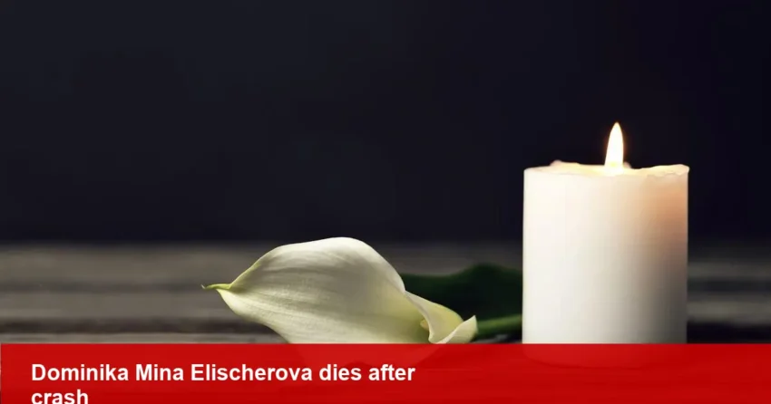 Boxing influencer Dominika Mina Elischerova dies after crash