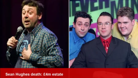Sean Hughes, comedian: £4m estate handed to Shelter