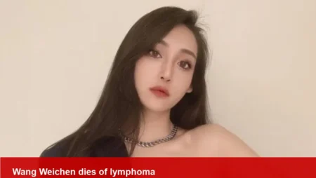 Wang Weichen, influencer, dies after lymphoma battle